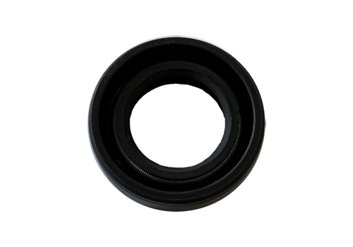 Motor Seal